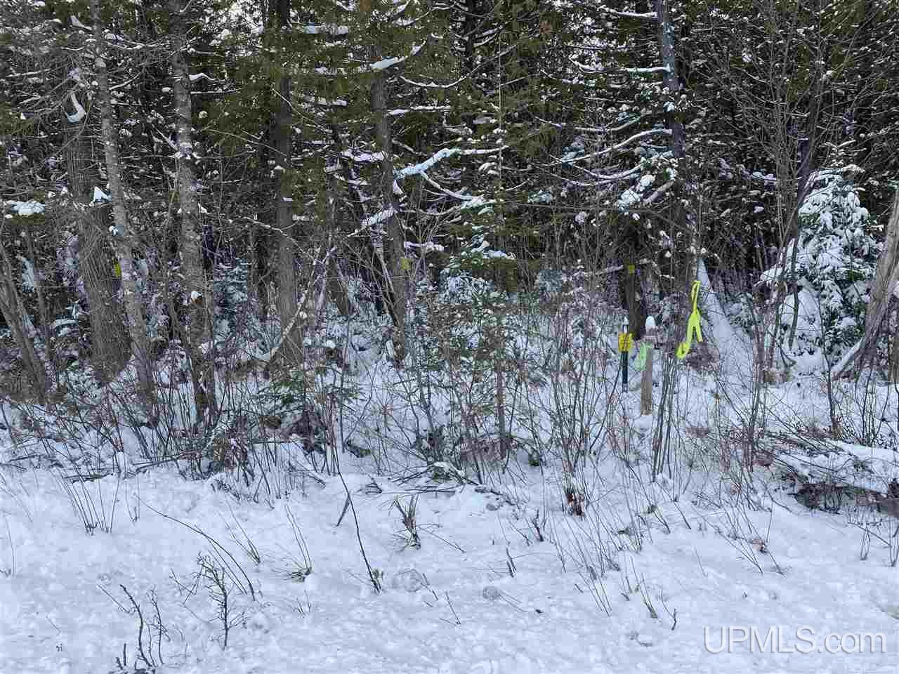 40-acres Vega Road Hermansville, MI 49847 - Photo 2 of 5