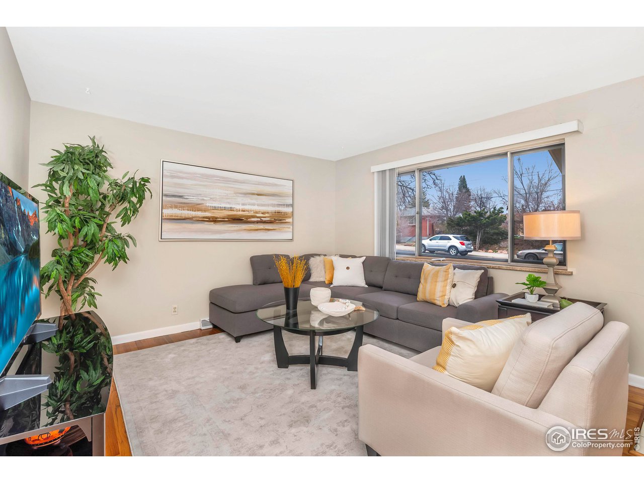 a living room with furniture and a potted plant