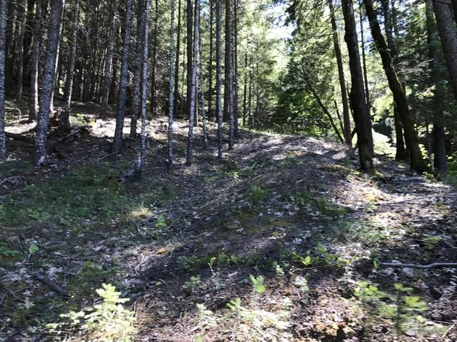 98 Ruth Lake, Unit NONE Mad River, CA 95552 - Photo 13 of 22