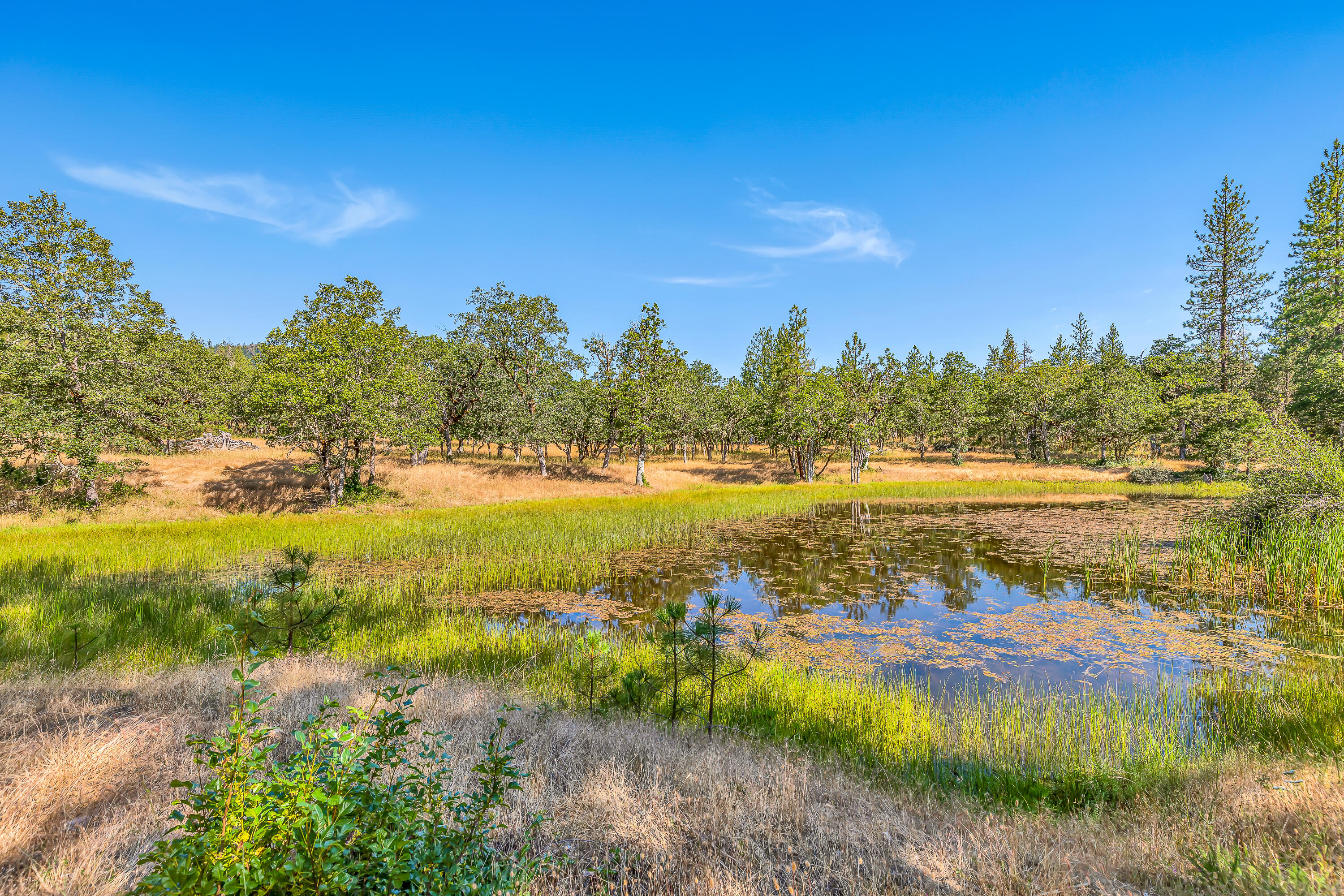 7745 Beagle Road White City, OR 97503 - Photo 34 of 49 9R9A5926