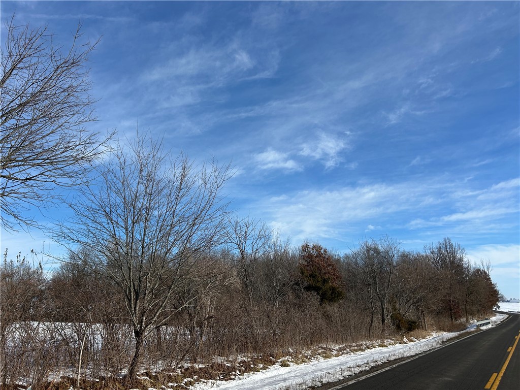 Nevada & Mount Decatur, IL 62522 - Photo 5 of 18 a view of a forest from a balcony