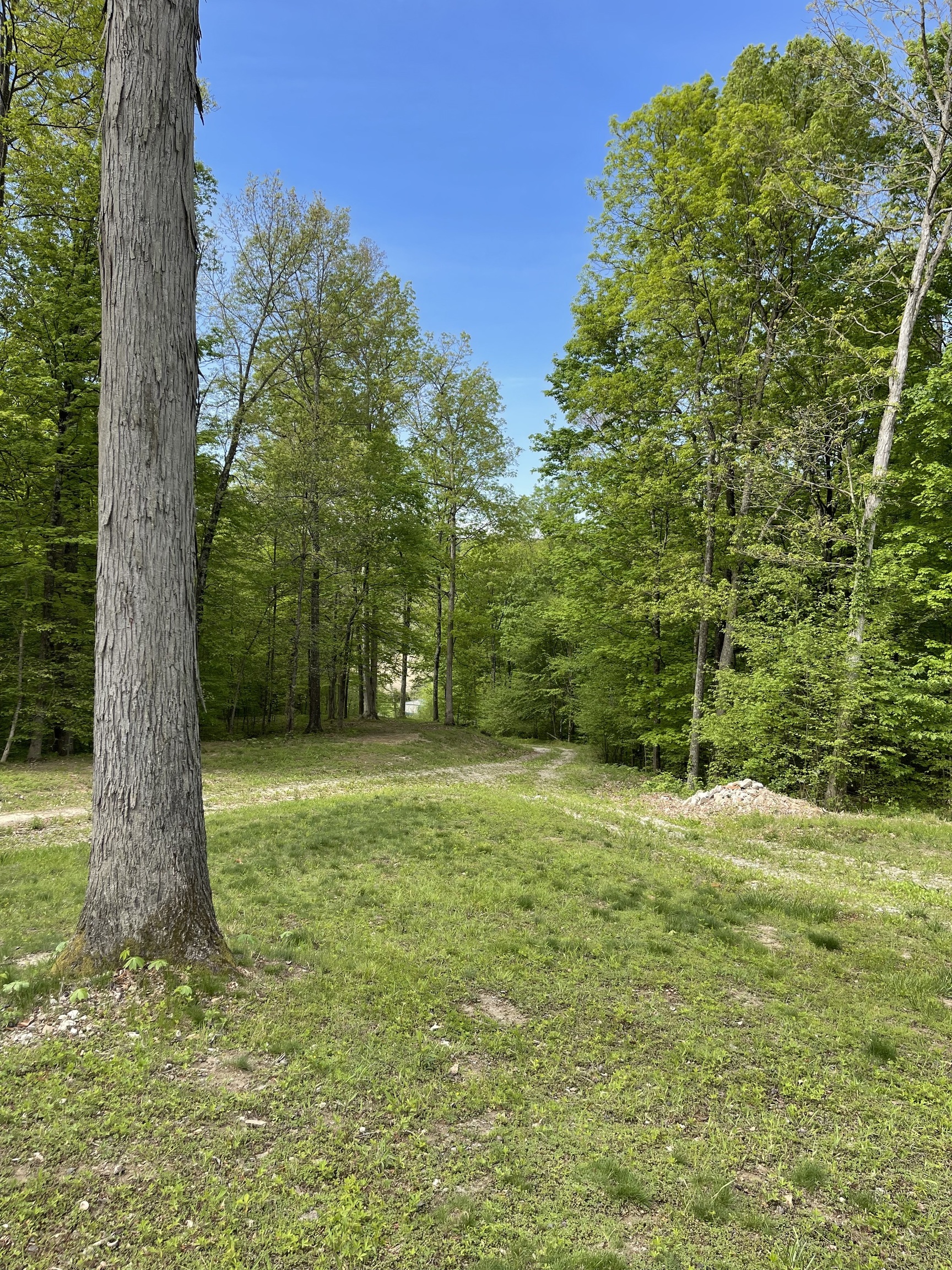 1828 Hinson Road Martinsville, IN 46151 - Photo 3 of 10