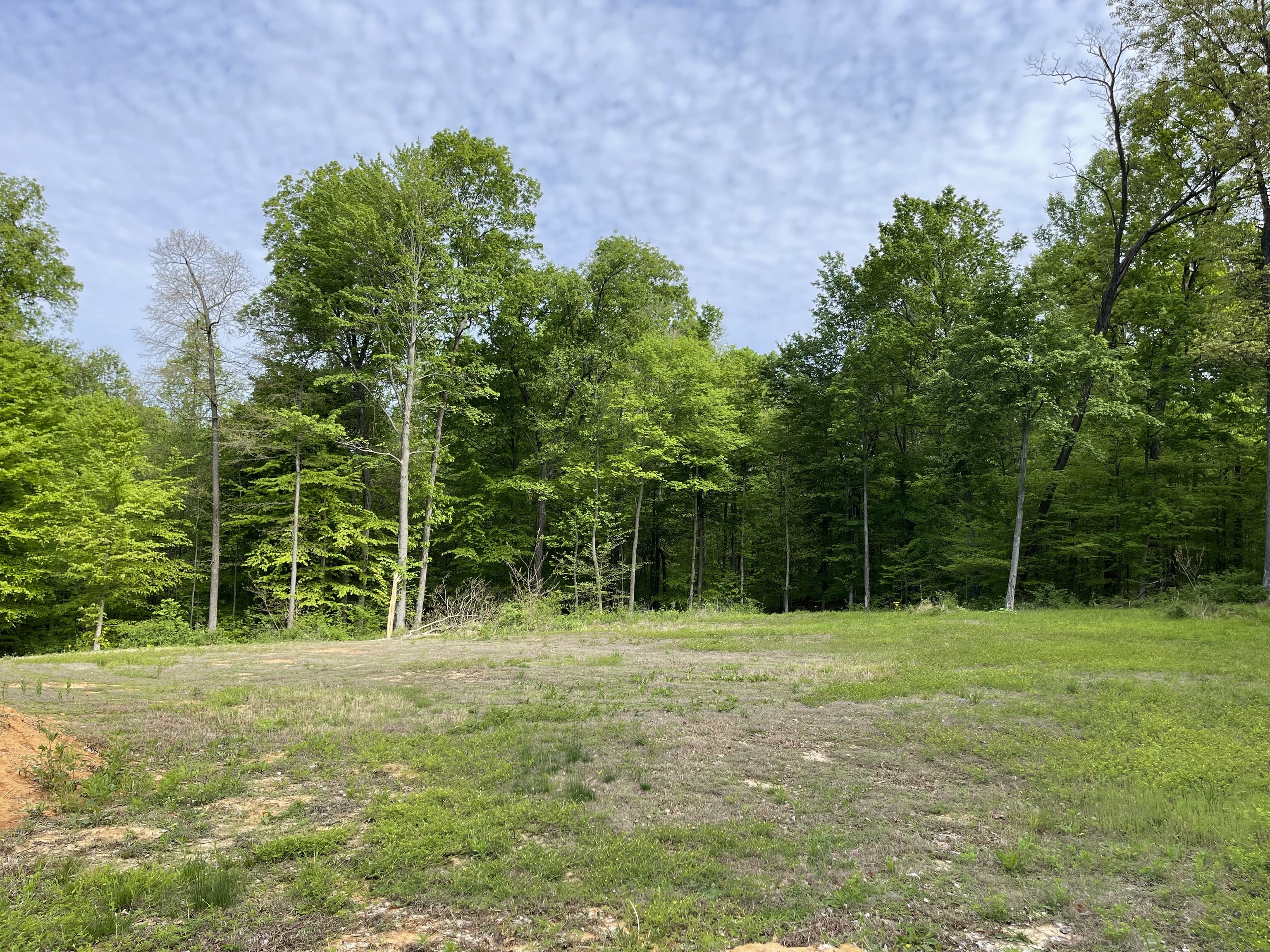 1828 Hinson Road Martinsville, IN 46151 - Photo 5 of 10