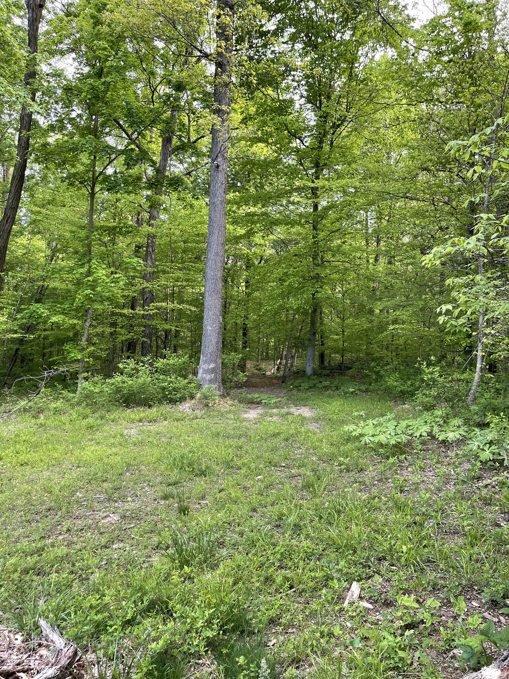 1828 Hinson Road Martinsville, IN 46151 - Photo 8 of 10