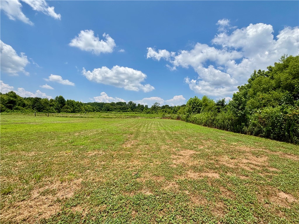 1165 Trotter Road Anderson, SC 29626 - Photo 15 of 28