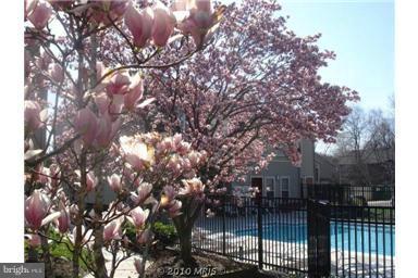 1734 Ascot Way, Unit 1734D Reston, VA 20190 - Photo 9 of 22 Exterior (General)