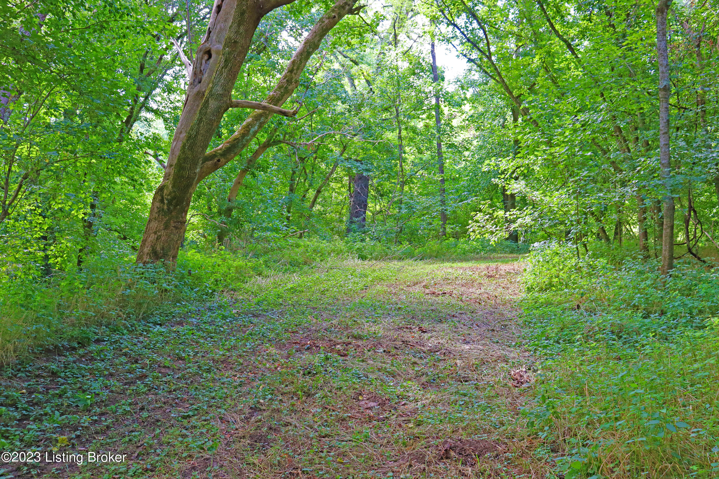9006 River Road Turners Station, KY 40075 - Photo 34 of 39 Side Trail 2
