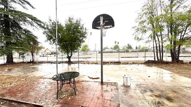 a view of a yard with a tree