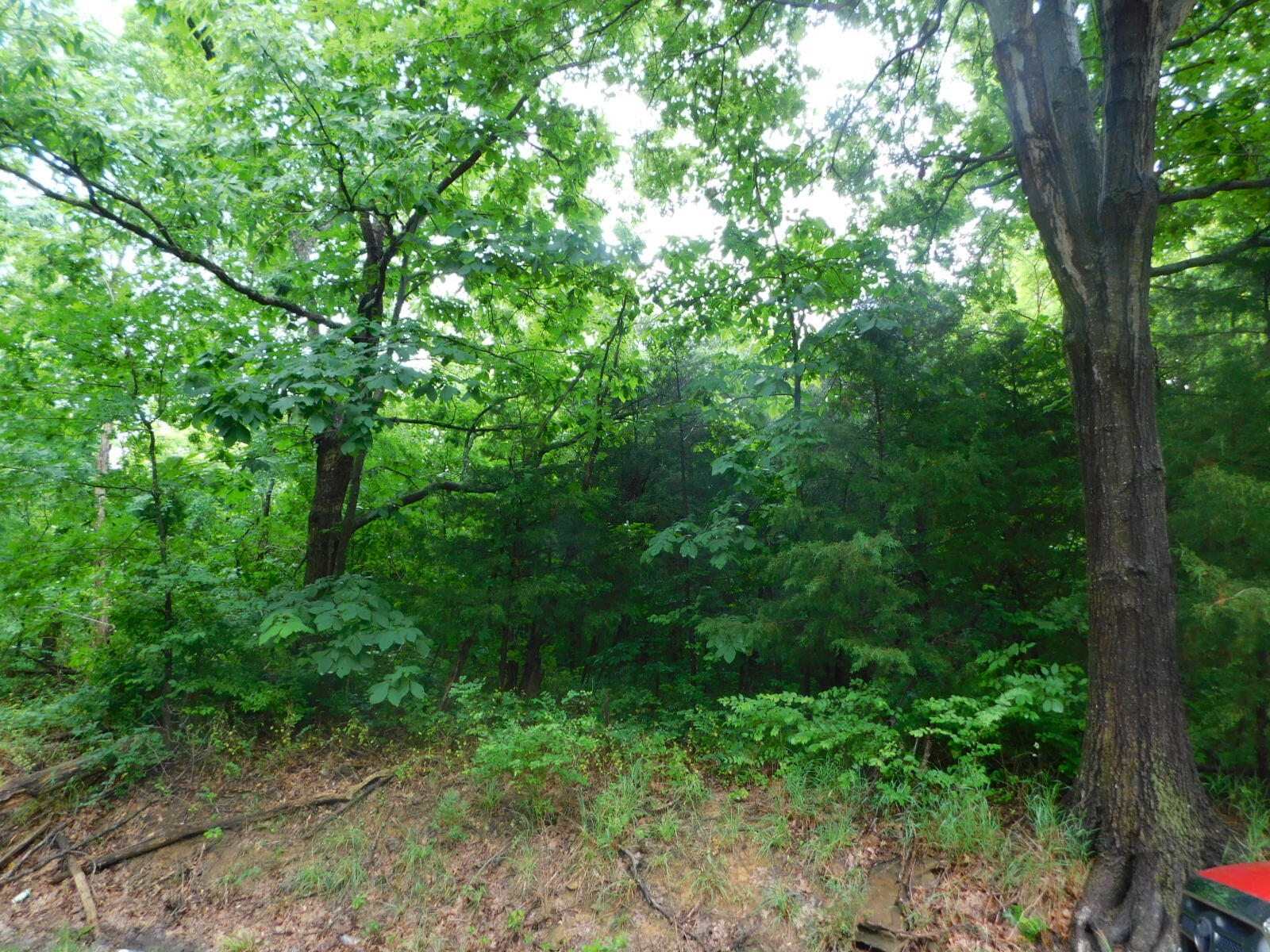 -bb New Columbus Road Owenton, KY 40359 - Photo 5 of 7 Gallery Image 5