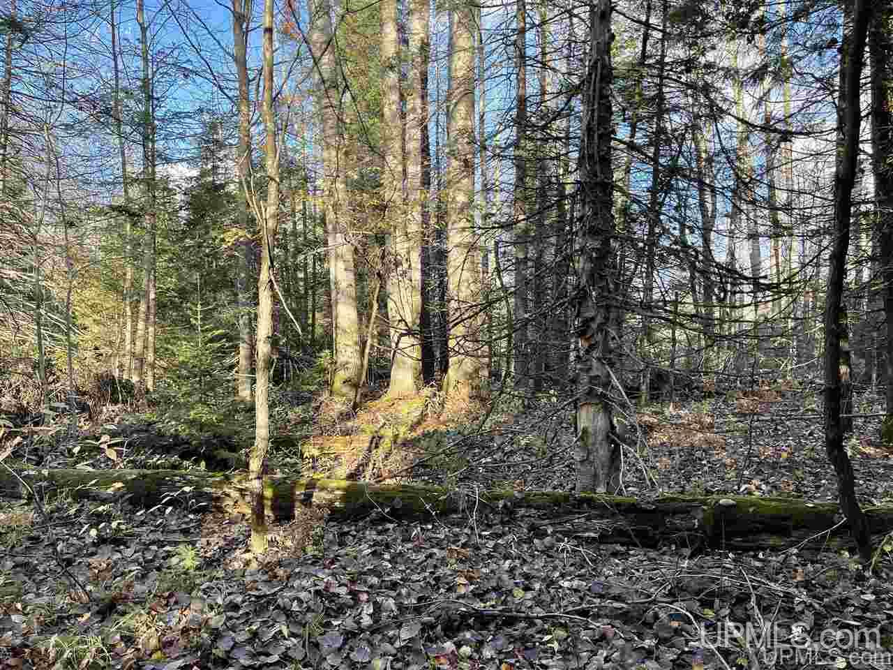 Tbd South Johnson Road Bessemer, MI 49911 - Photo 3 of 9