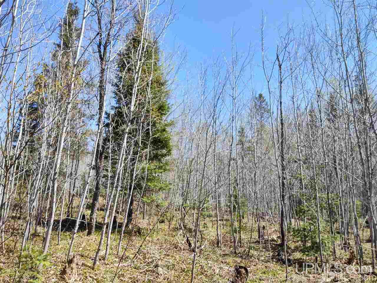 Tbd Forest Hwy 16 Road Iron River, MI 49935 - Photo 49 of 49