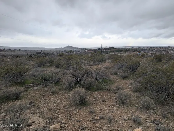 a view of a forest with trees in the background