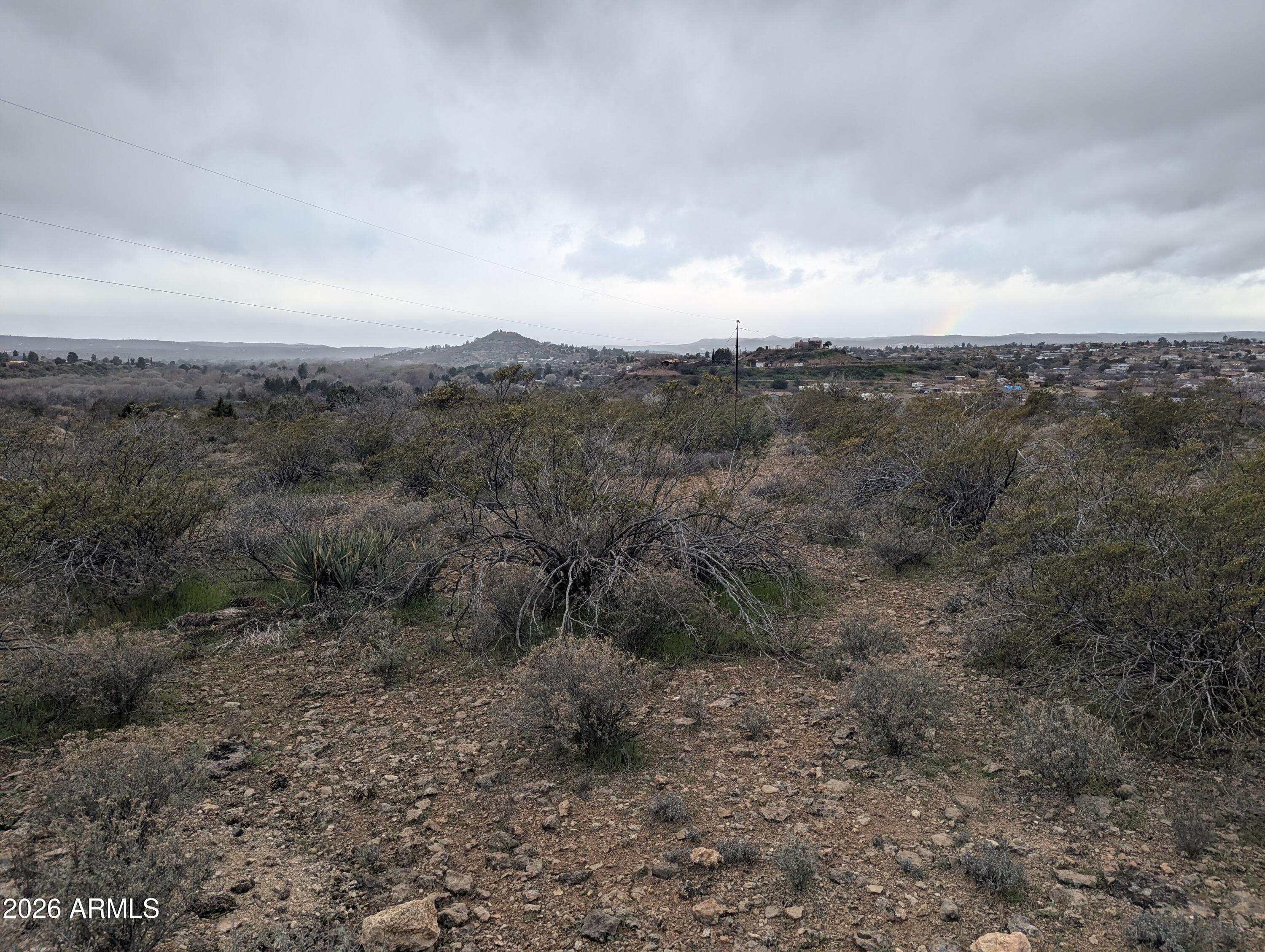 a view of a forest with trees in the background