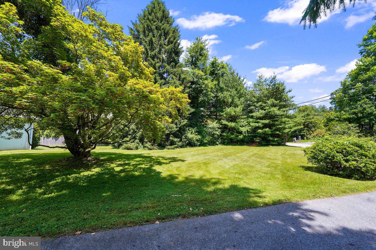 327 South Waterloo Road Devon, PA 19333 - Photo 33 of 36 Right Side Yard