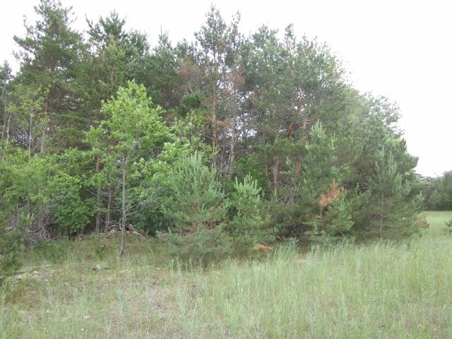 117 County Line Road Northeast Mancelona, MI 49659 - Photo 4 of 27 1787192-3.JPG