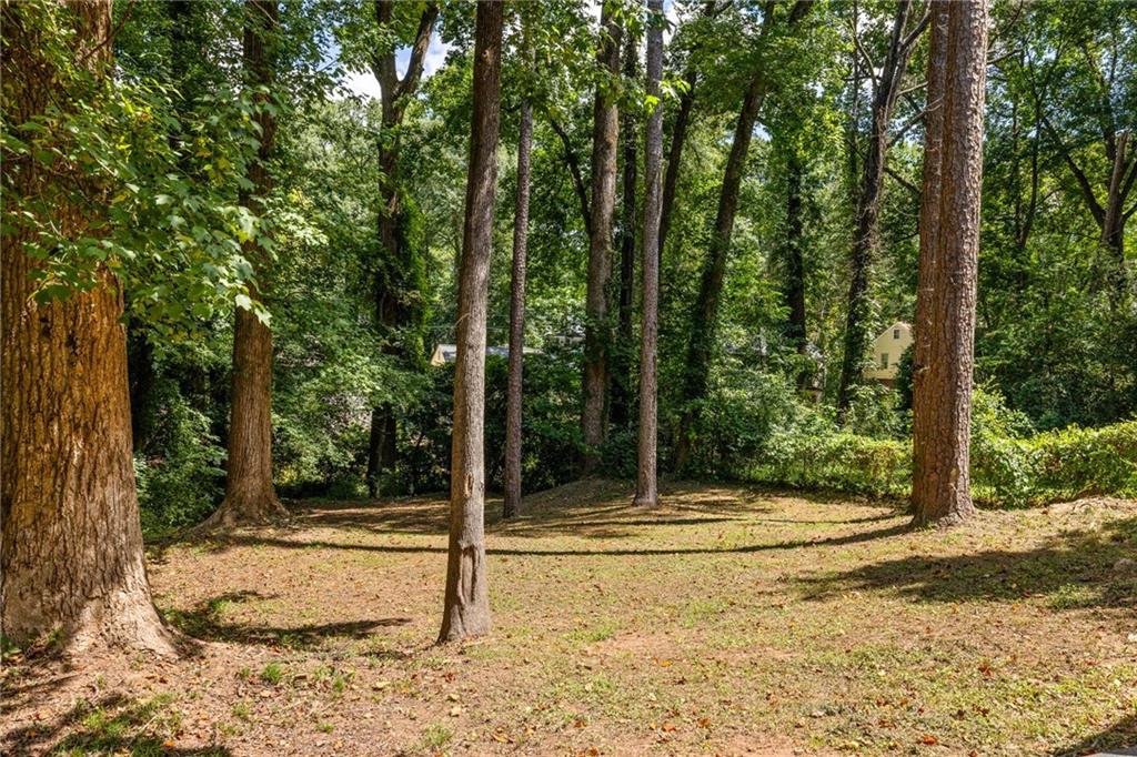 1675 Alvarado Terrace Southwest Atlanta, GA 30310 - Photo 21 of 26 a view of a yard with a tree