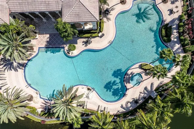 an aerial view of a swimming pool