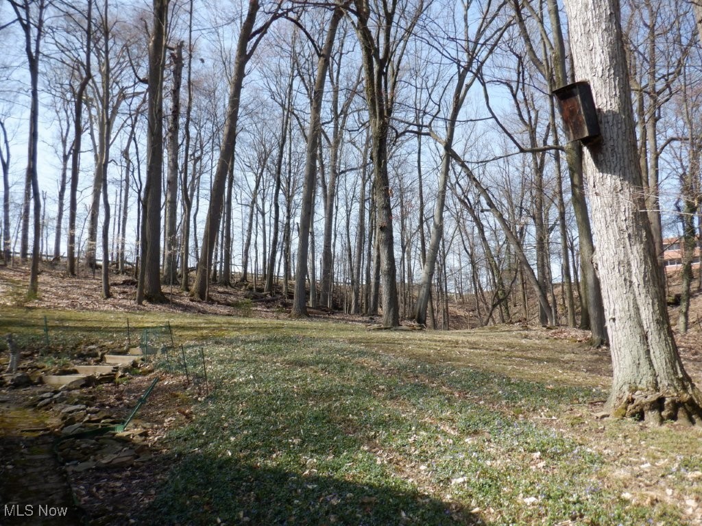 1203 Old Rockside Road Cleveland, OH 44134 - Photo 40 of 50