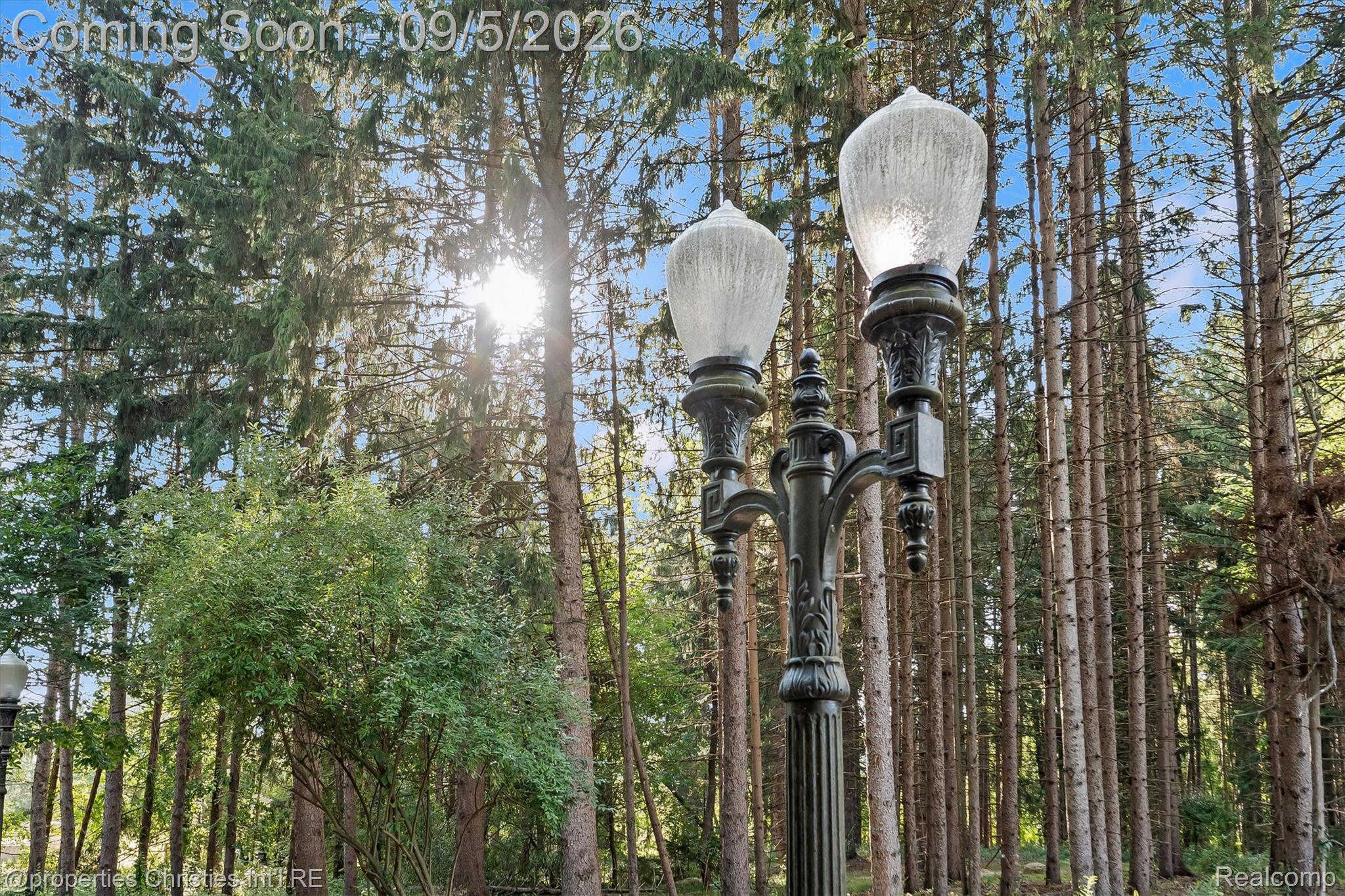 1540 Mill Race Road Rochester, MI 48306 - Photo 7 of 99 Ornate double street light with fluted column and textured glass globes
