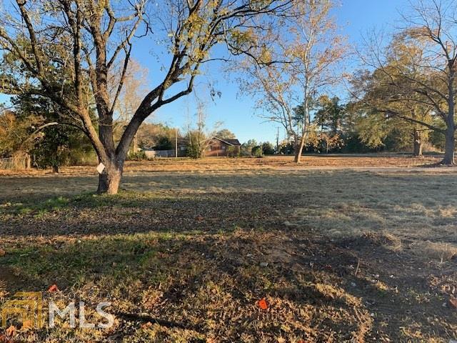 187 Injunction Road Swainsboro, GA 30401 - Photo 1 of 1 Gallery Image 1