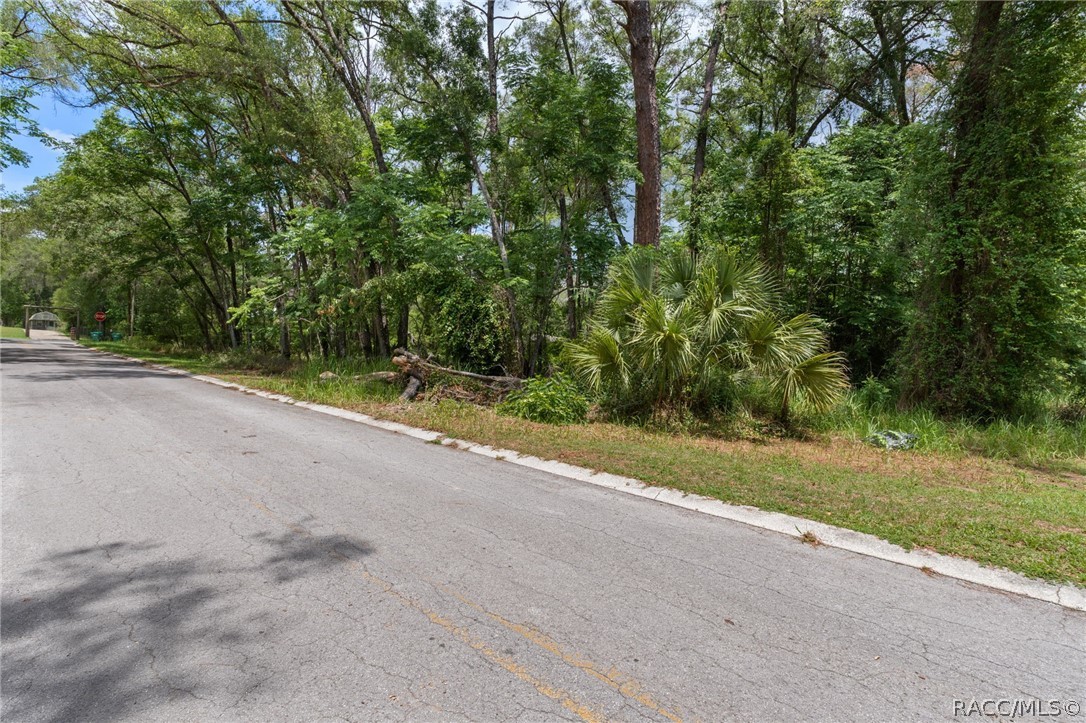5941 East Calico Lane Inverness, FL 34452 - Photo 2 of 3 a view of a yard with a trees