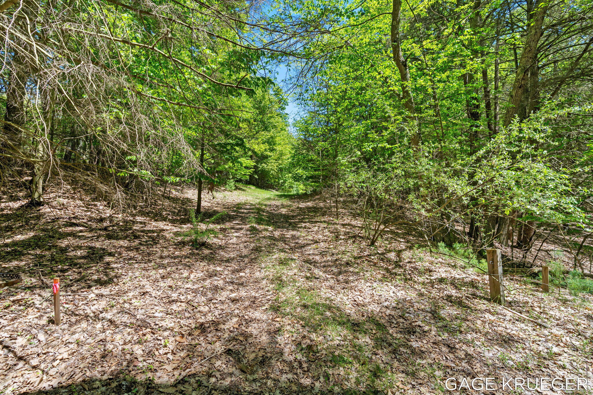 V/l West Thomas Road Shelby, MI 49455 - Photo 5 of 27 5-web-or-mls-DSC01596