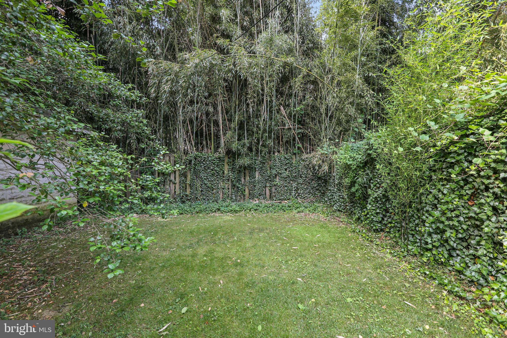 506 Westgate Road Baltimore, MD 21229 - Photo 45 of 60 Yard is partially fenced, trees provide shade