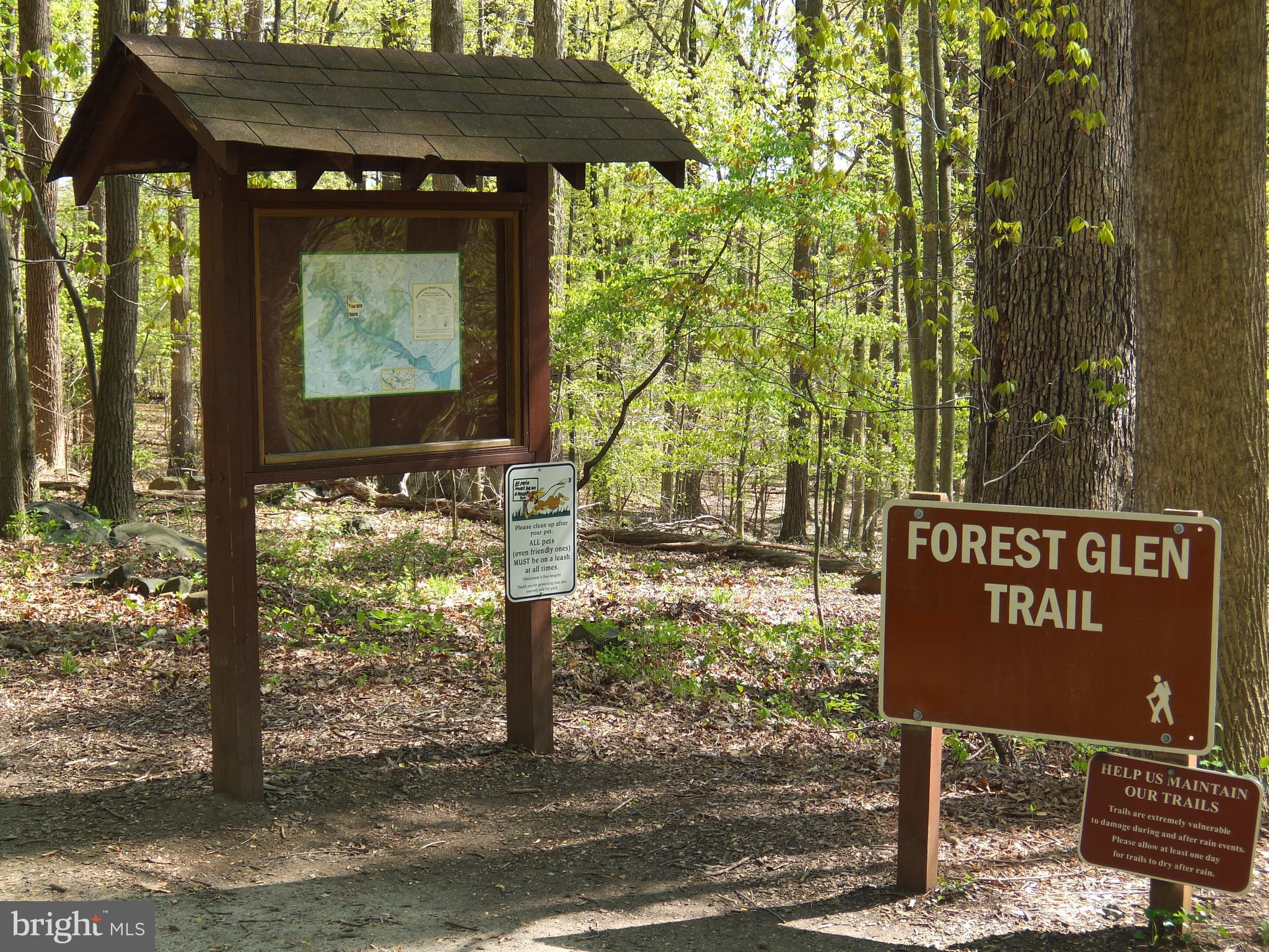 506 Westgate Road Baltimore, MD 21229 - Photo 52 of 60 Explore State Park trails