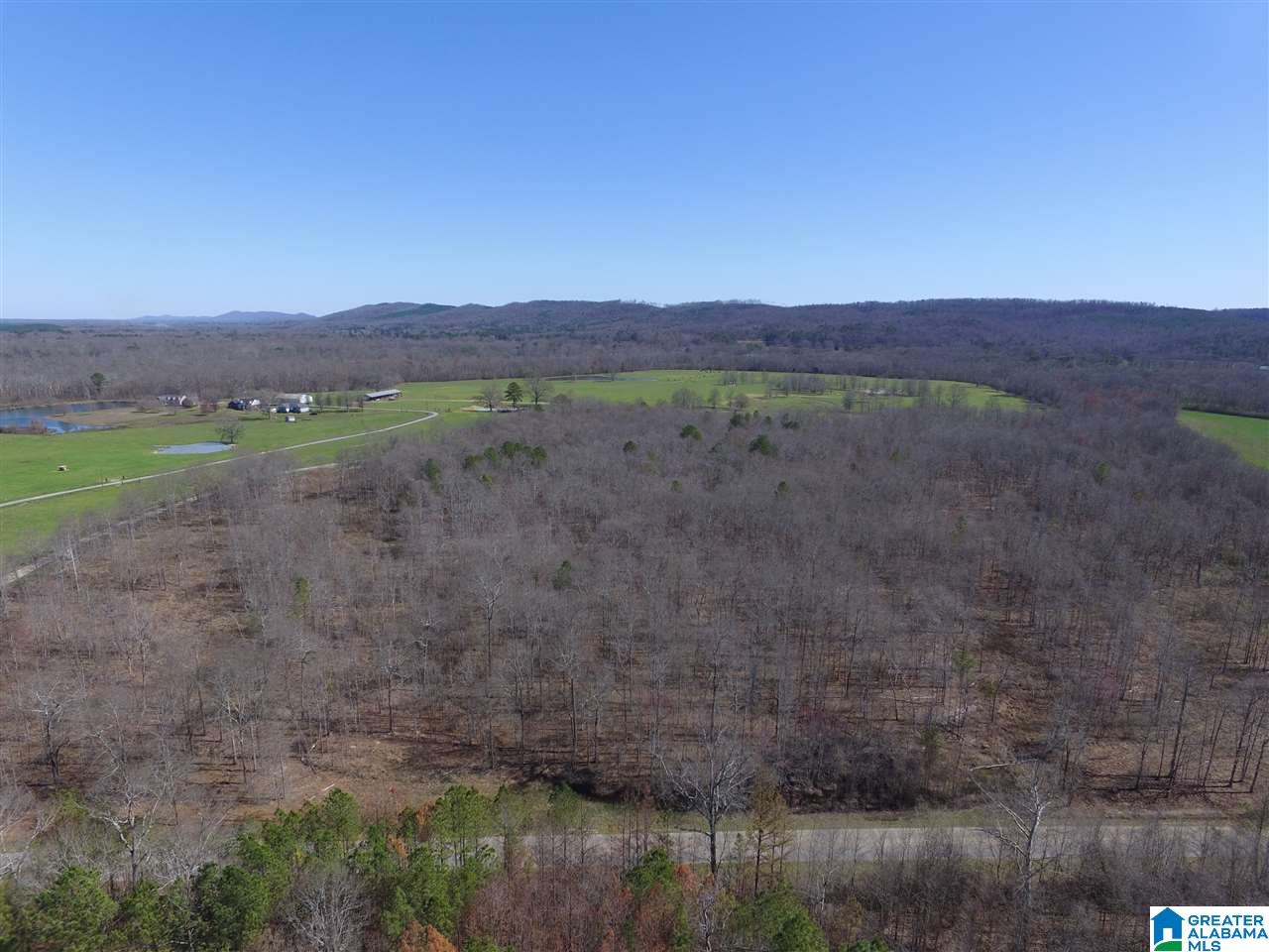 0 Double Bridge Road, Unit 286 Ashville, AL 35953 - Photo 10 of 34