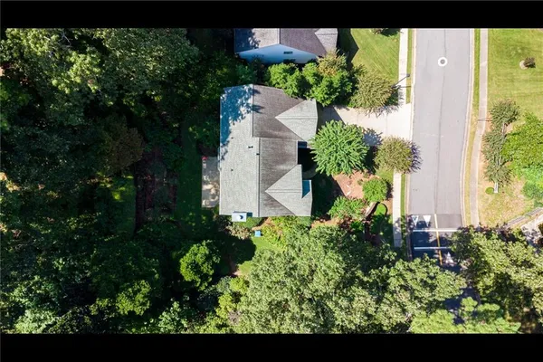 a view of a garden with plants