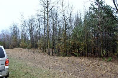 10 Us Reed City, MI 49677 - Photo 1 of 3 Primary Photo
