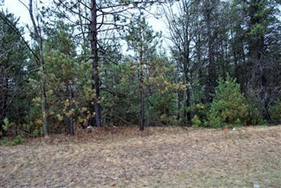 10 Us Reed City, MI 49677 - Photo 3 of 3 Additional Photo