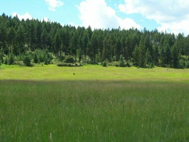 2353B Addy-Gifford Road Addy, WA 99101 - Photo 4 of 8