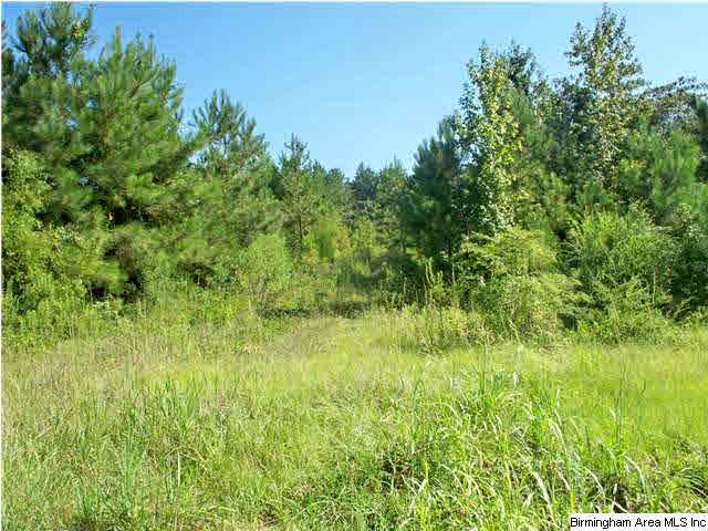 0 Highway 11 Vance Al Vance, AL 35490 - Photo 5 of 8