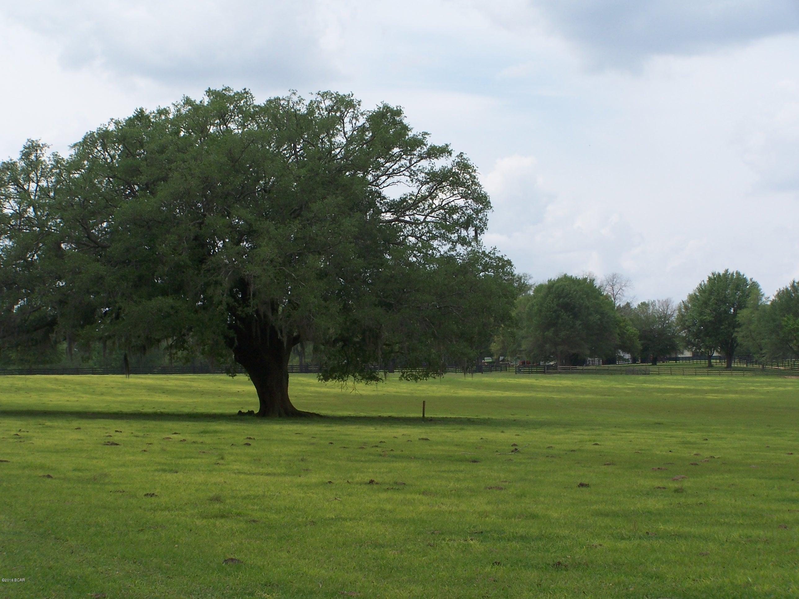 1059 Wilcox Crossing Road Bonifay, FL 32425 - Photo 66 of 70 Gallery Image 66