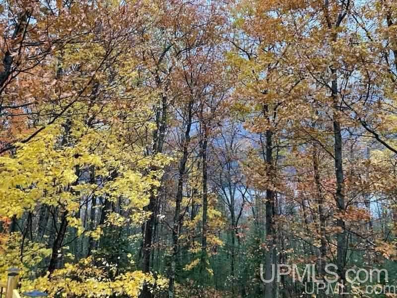 84 Feather Ridge Road Marquette, MI 49855 - Photo 44 of 46