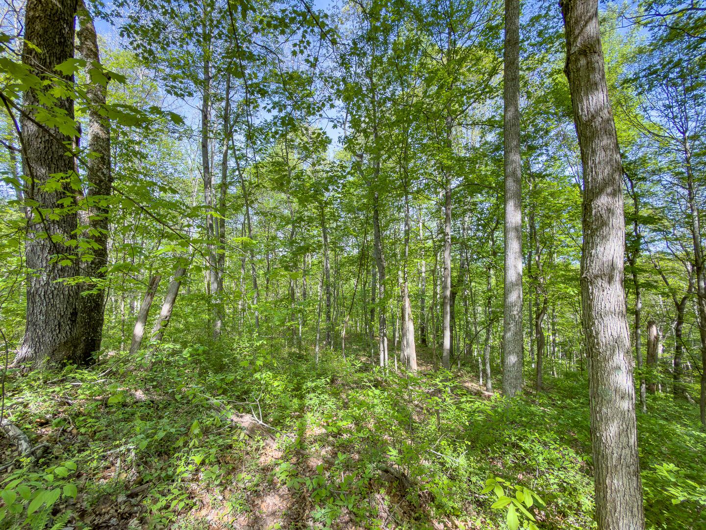 2 Perry Ridge Road Wilkesville, OH 45695 - Photo 15 of 27 Perry Ridge Rd Tract 2-8