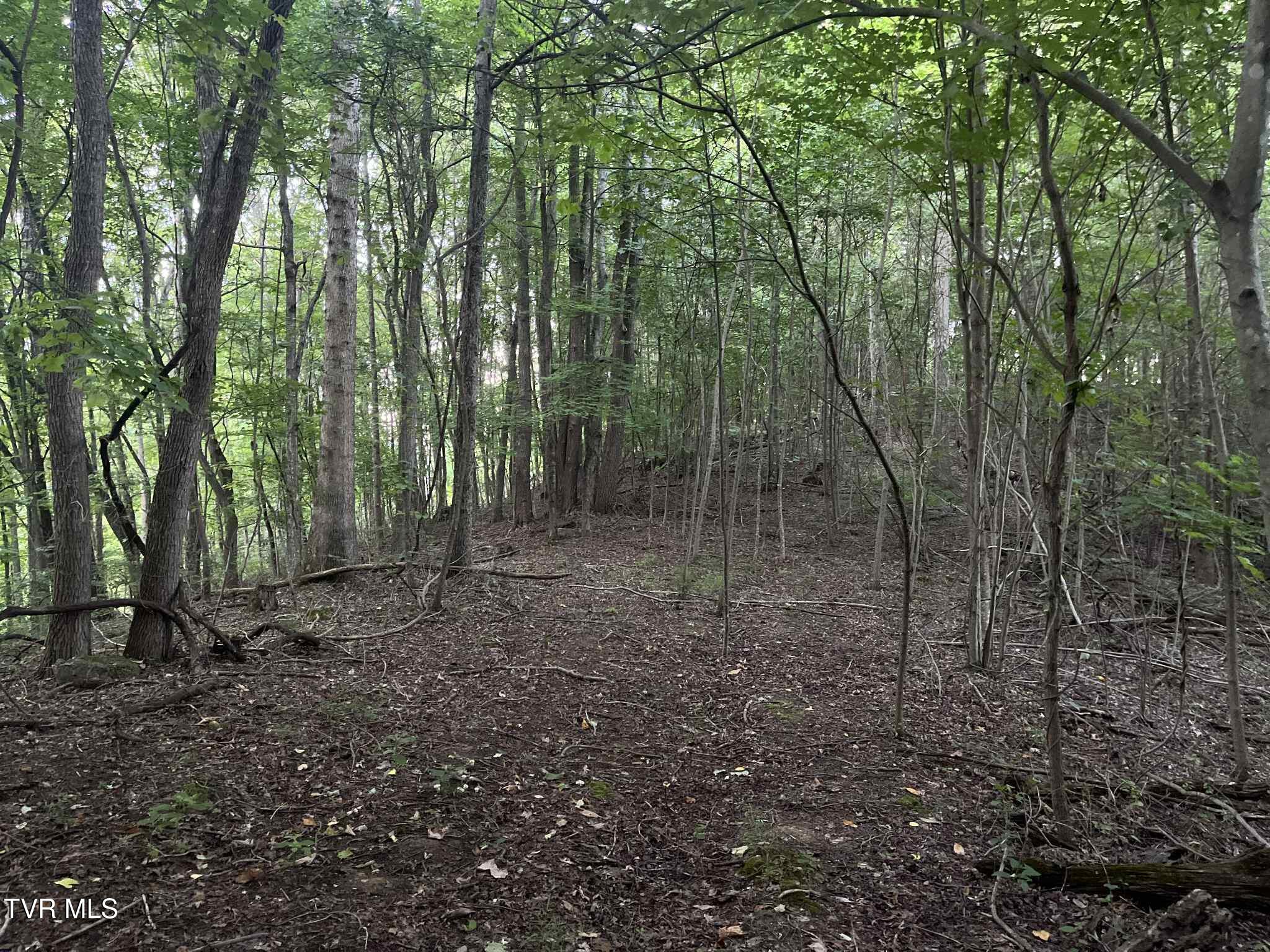 8355 Wagner Road Bristol, VA 24202 - Photo 11 of 28 876b3d63-c8d3-4a19-ac11-89d7ae2b6f49