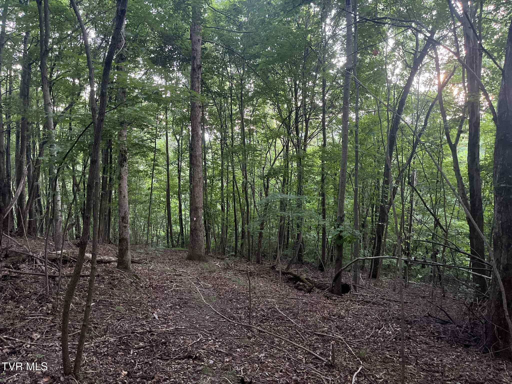 8355 Wagner Road Bristol, VA 24202 - Photo 13 of 28 a9ece0c7-ee64-4f53-a918-741d725935a9
