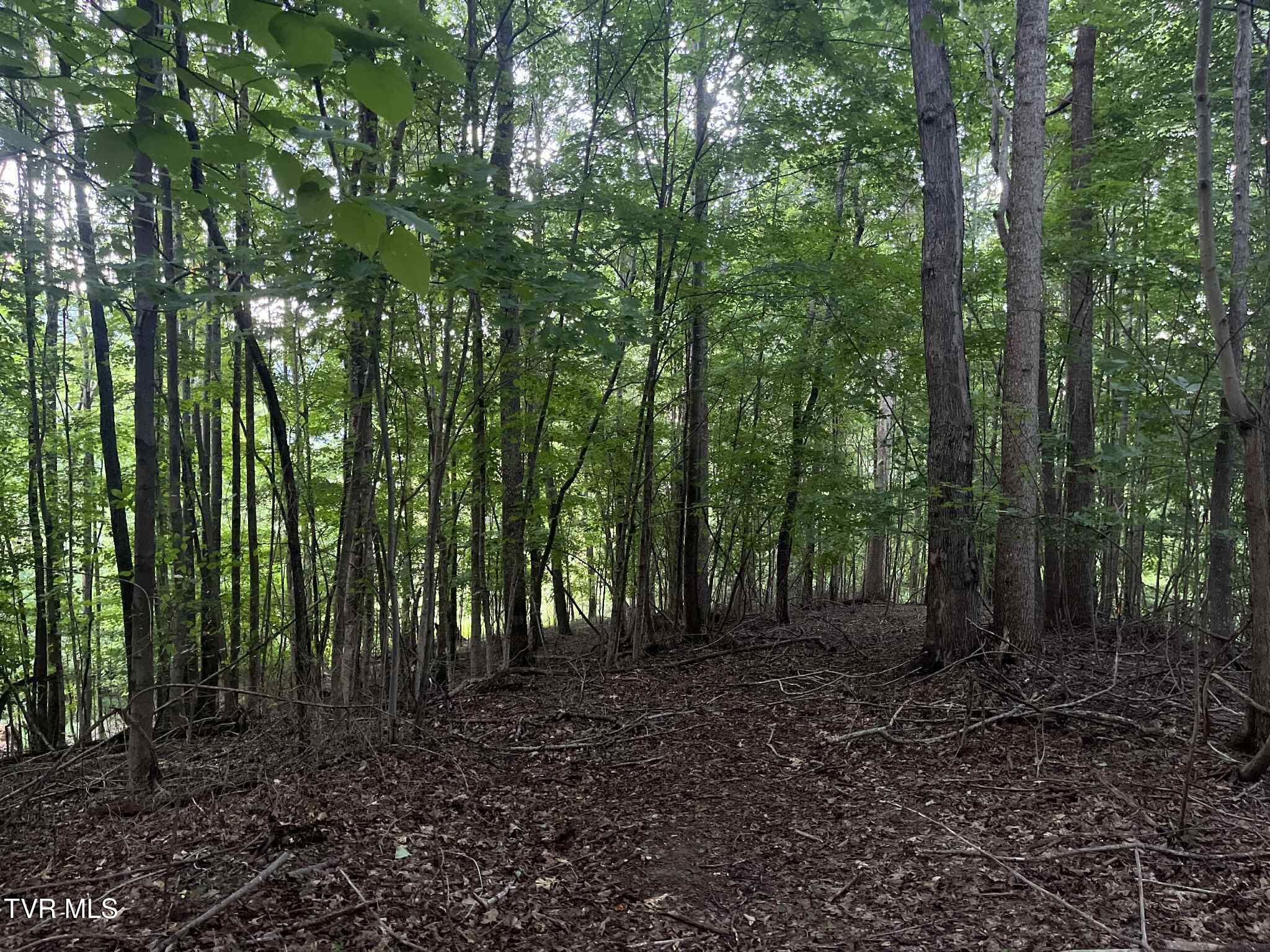 8355 Wagner Road Bristol, VA 24202 - Photo 14 of 28 a9f33091-429c-4f62-89ed-a7707e8a9946