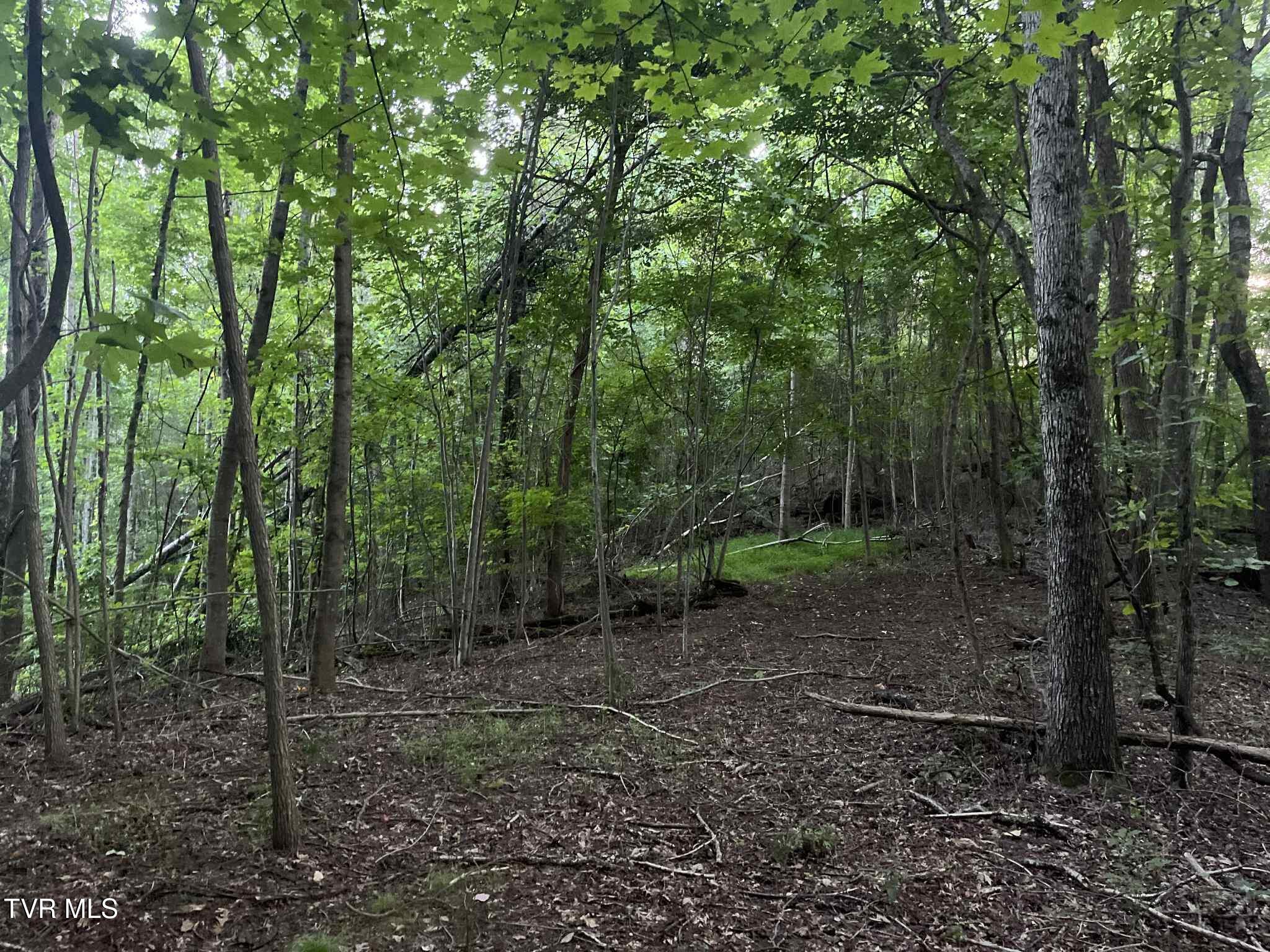 8355 Wagner Road Bristol, VA 24202 - Photo 15 of 28 afa7bd0f-2e04-42a7-b243-553389494d3b