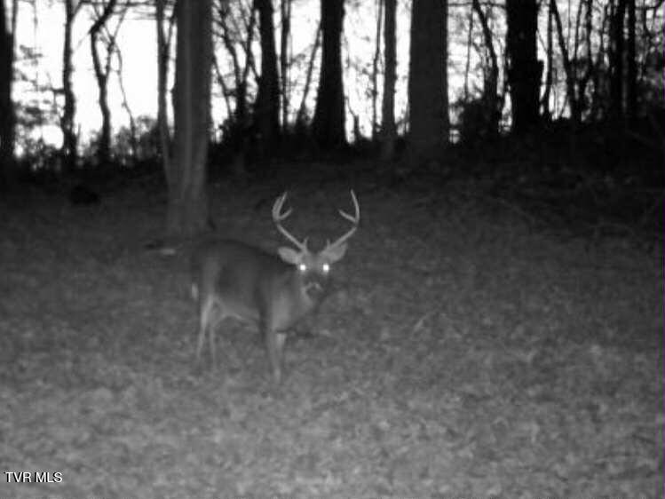 8355 Wagner Road Bristol, VA 24202 - Photo 27 of 28 b562ba0f-637f-4868-87ff-3f4eef34170e