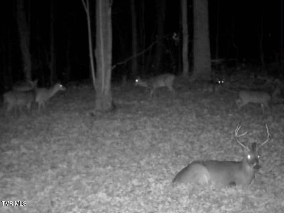 8355 Wagner Road Bristol, VA 24202 - Photo 28 of 28 e8775e79-b314-44d1-86dd-c1fc875c3b29