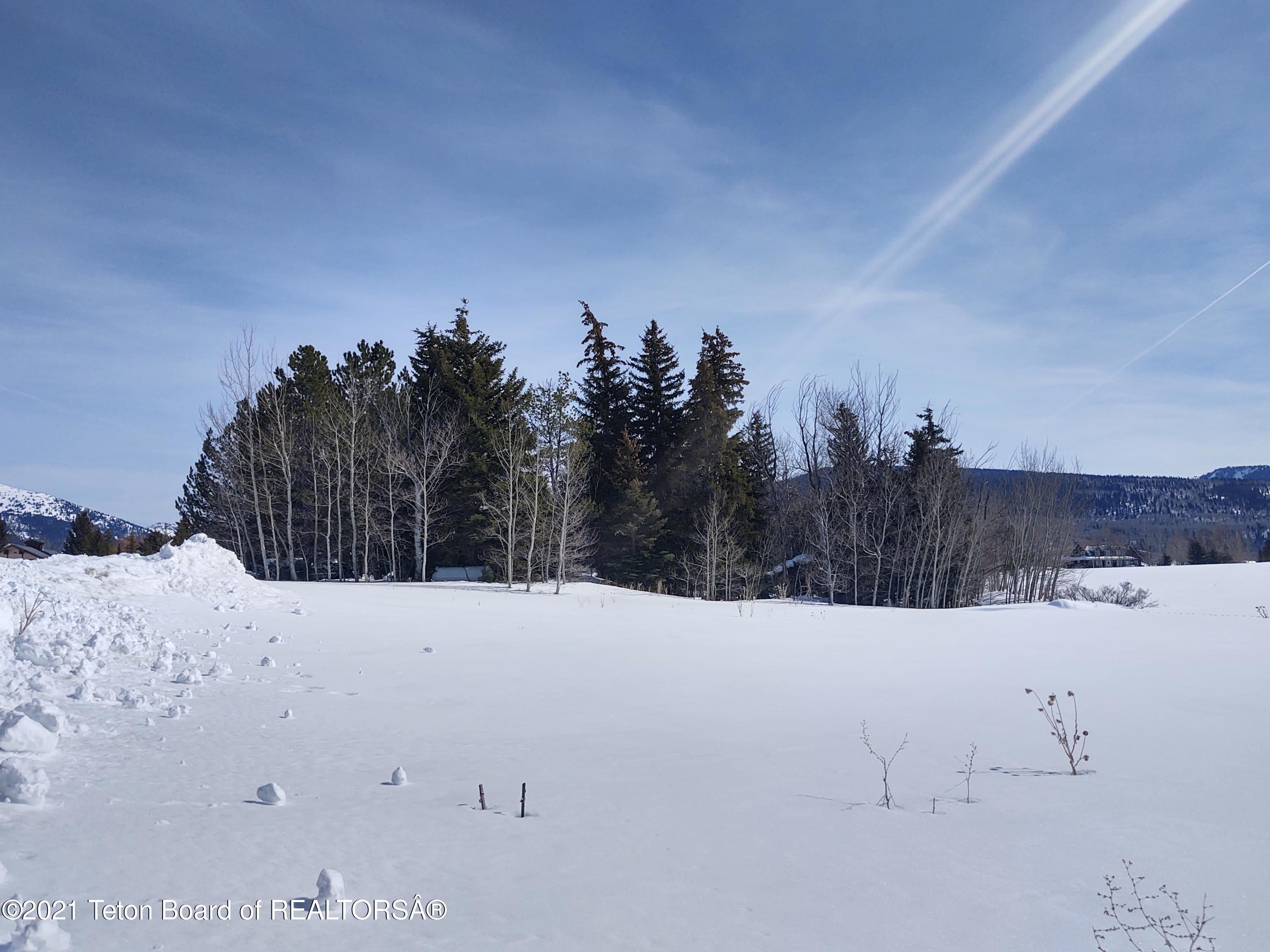 445 Targhee Towne Road Alta, WY 83414 - Photo 13 of 16 East Winter