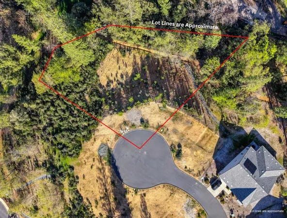 a aerial view of a house with a yard and large trees