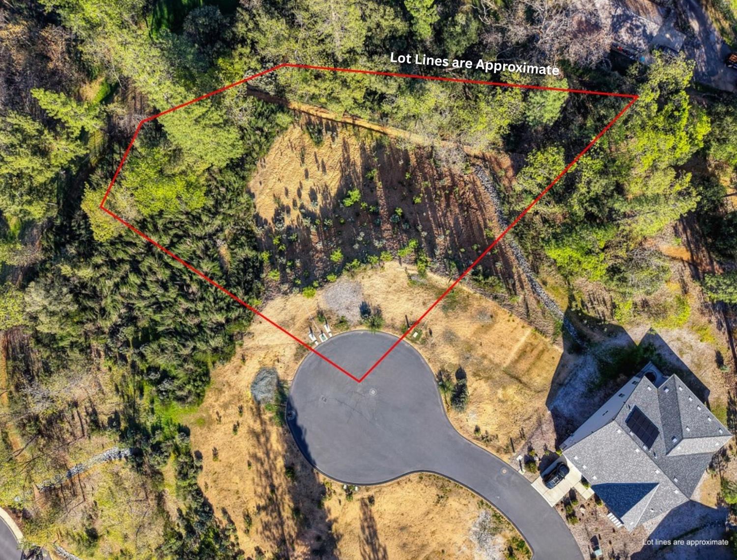a aerial view of a house with a yard and large trees