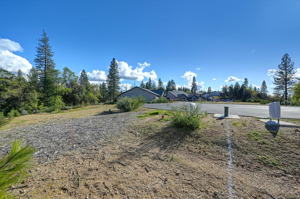 416 Rubicon Court Colfax, CA 95713 - Photo 11 of 12
