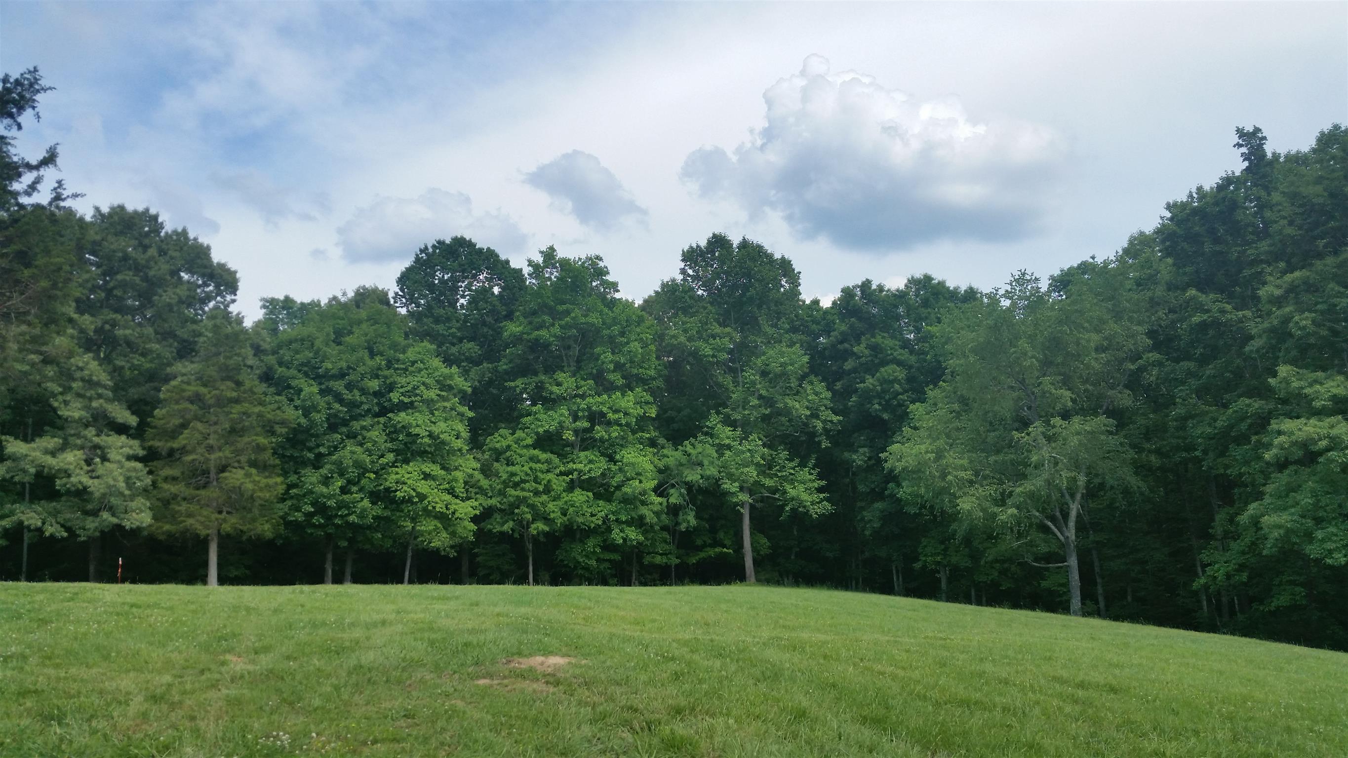 4 Barnhill Road Primm Springs, TN 38476 - Photo 2 of 10