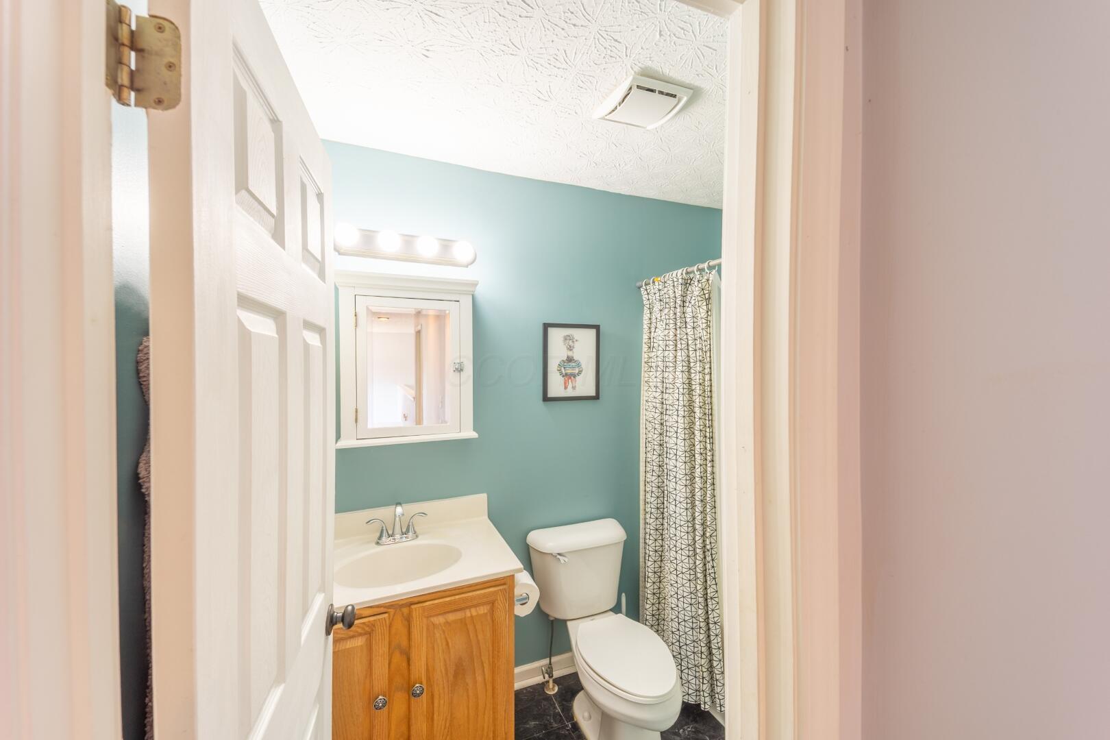 222 Heathermere Loop Galena, OH 43021 - Photo 23 of 36 Fullbath2