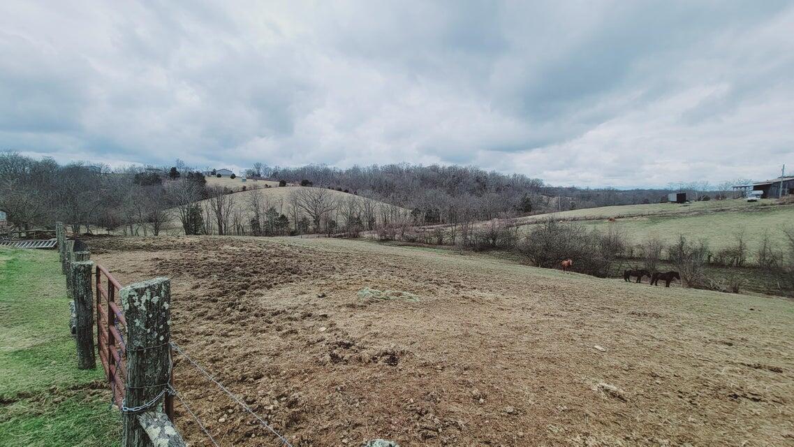 572 Butler Branch Road Flemingsburg, KY 41041 - Photo 29 of 34 Horse Pasture 7
